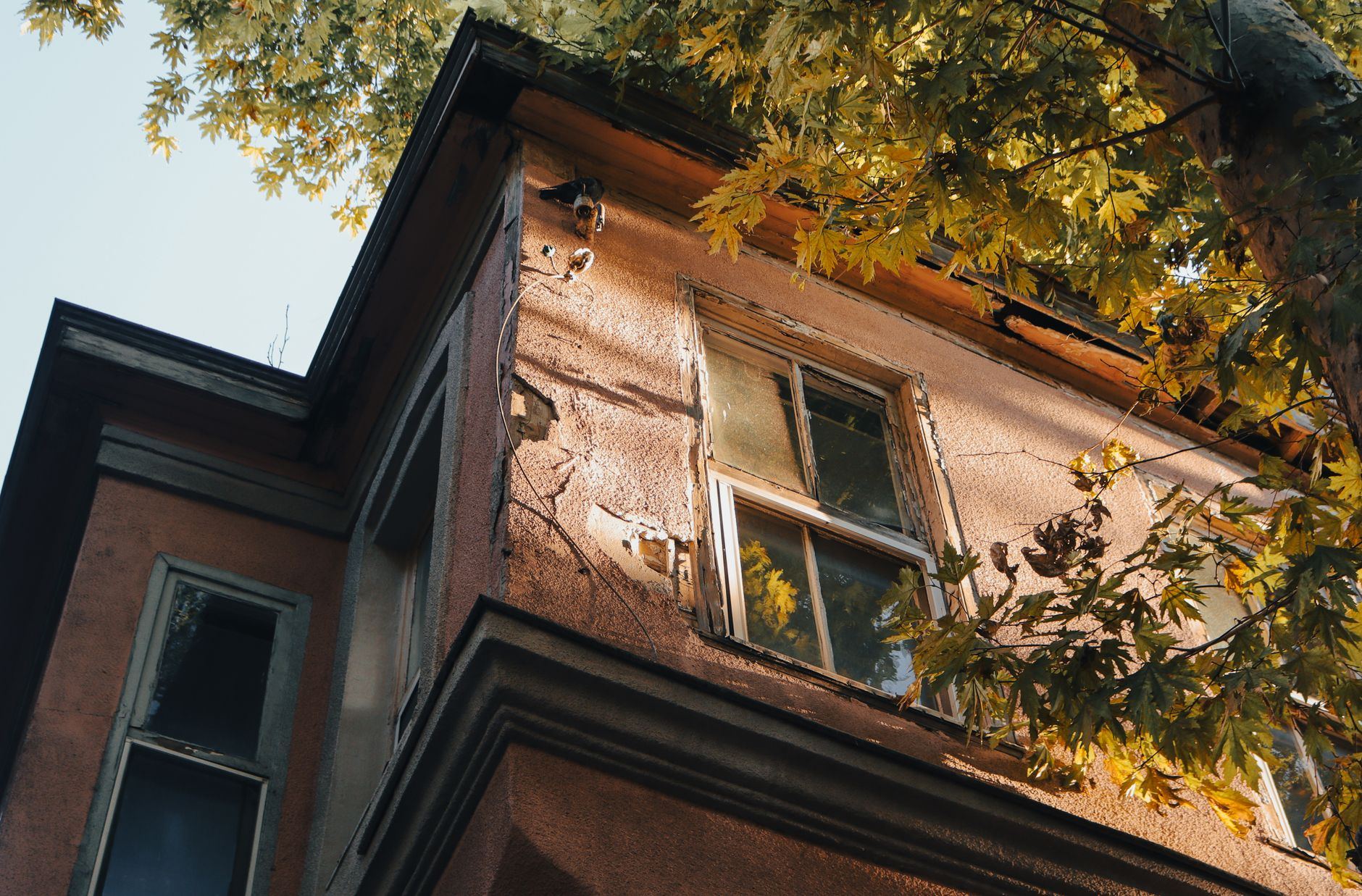 A rustic house facade with cracked walls and autumn leaves, bathed in golden sunlight.