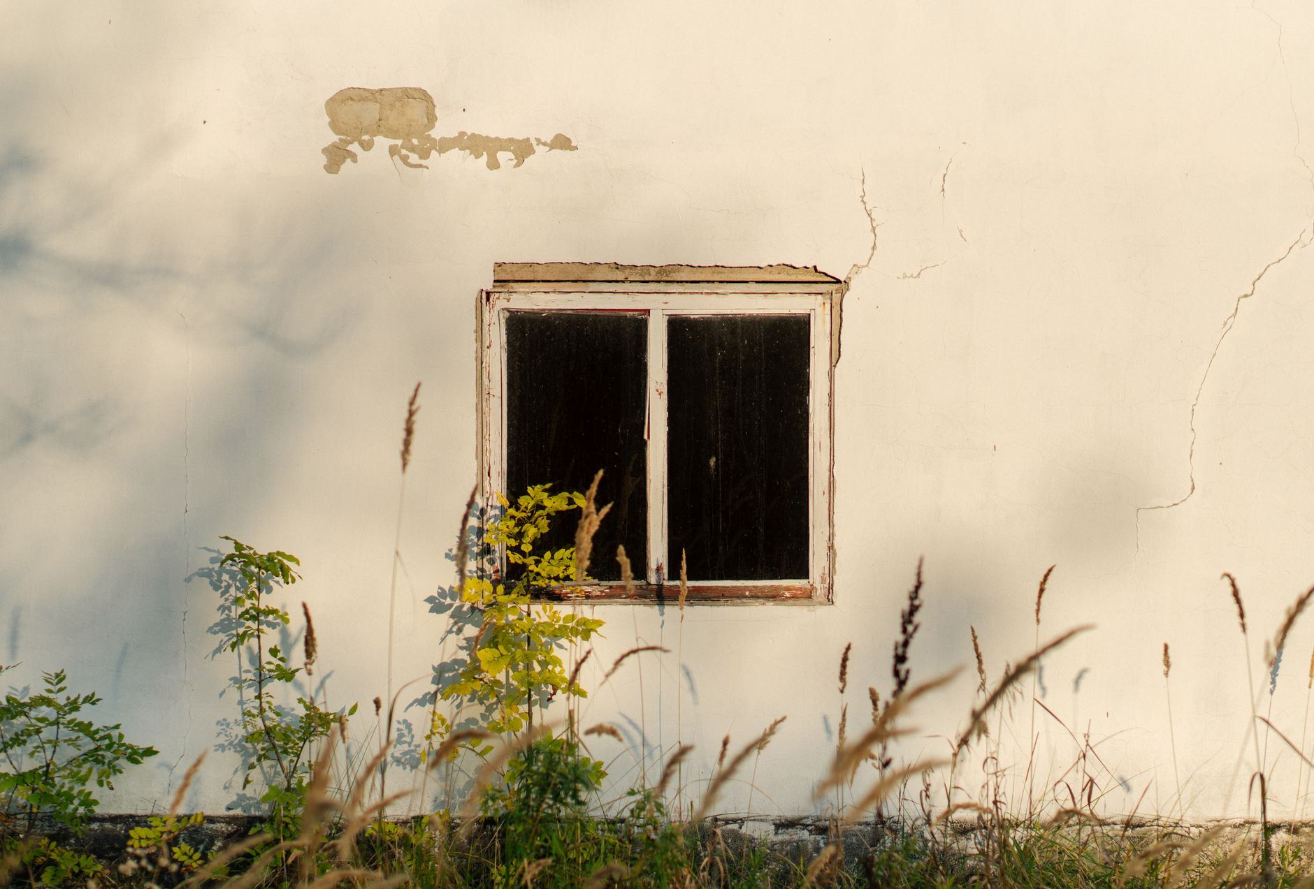 An old window on a rustic house surrounded by wild plants, capturing a serene and abandoned atmosphere.